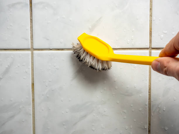 Best Fast Mold Removal  in Prairie Grove, IL