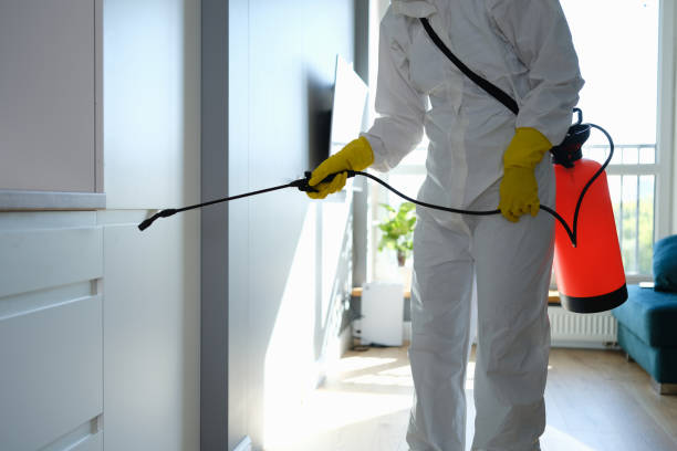 Best Mold Testing  in Prairie Grove, IL