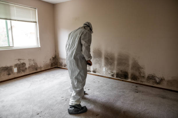 Water Damage Restoration in Prairie Grove, IL